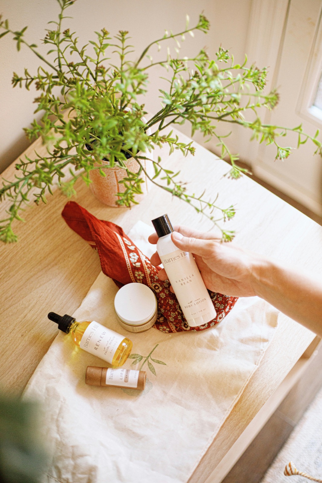 Înțelegerea ingredientelor cosmetice: ghid pentru începători